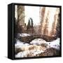 Sunlight on Central Park-Philippe Hugonnard-Framed Stretched Canvas