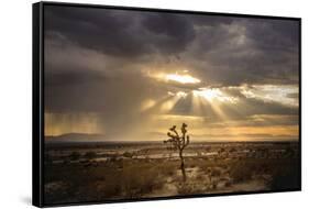 Sunlight on Desert Landscape in USA-Jody Miller-Framed Stretched Canvas