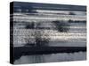 Sunlight on Flooded Wetlands in Spring, Biebrzanski National Park, Poland-Artur Tabor-Stretched Canvas