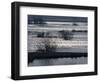 Sunlight on Flooded Wetlands in Spring, Biebrzanski National Park, Poland-Artur Tabor-Framed Premium Photographic Print