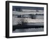 Sunlight on Flooded Wetlands in Spring, Biebrzanski National Park, Poland-Artur Tabor-Framed Photographic Print