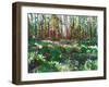 Sunlight on Heather, 2011, (oil on canvas)-Helen White-Framed Giclee Print