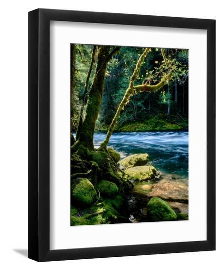 Premium Photographic Print, , large