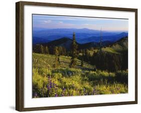 Sunlight over Field and Flowers, Portneuf Mountains, Bear River Range, Cache National Forest, Idaho-Scott T^ Smith-Framed Photographic Print