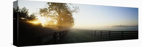 Sunlight Passing Through Trees, Horse Farm, Woodford County, Kentucky, USA-null-Stretched Canvas