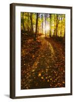 Sunlight Path in A Fall Forest-SHS Photography-Framed Photographic Print