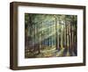 Sunlight Peeking-Jason Jarava-Framed Giclee Print