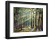 Sunlight Peeking-Jason Jarava-Framed Giclee Print