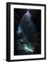 Sunlight Pours into a Submerged Cavern on a Reef in the Solomon Islands-Stocktrek Images-Framed Photographic Print
