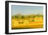 Sunlight Returns I-Bonita Williams Goldberg-Framed Giclee Print