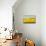 Sunlight Returns II-Bonita Williams Goldberg-Stretched Canvas displayed on a wall
