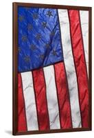 Sunlight shines through an American Flag.-Brenda Tharp-Framed Photographic Print