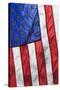 Sunlight shines through an American Flag.-Brenda Tharp-Stretched Canvas