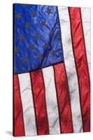 Sunlight shines through an American Flag.-Brenda Tharp-Stretched Canvas