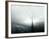 Sunlight Shining behind Lone Tree-Jan Lakey-Framed Photographic Print