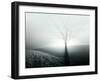 Sunlight Shining behind Lone Tree-Jan Lakey-Framed Photographic Print