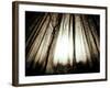 Sunlight Shining through Dense Forest-Jan Lakey-Framed Photographic Print