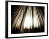 Sunlight Shining through Dense Forest-Jan Lakey-Framed Photographic Print