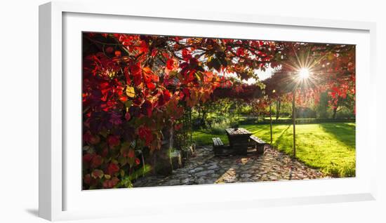 Sunlight Through Autumn Grape Vines, Korana Village, Plitvice Lakes National Park, Croatia-Russ Bishop-Framed Photographic Print