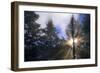 Sunlight Through Evergreen Forest-Paul Souders-Framed Photographic Print