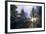 Sunlight Through Evergreen Forest-Paul Souders-Framed Photographic Print