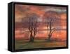 Sunlight through trees,  pastel-Margo Starkey-Framed Stretched Canvas