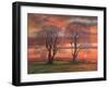 Sunlight through trees,  pastel-Margo Starkey-Framed Giclee Print