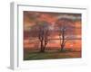 Sunlight through trees,  pastel-Margo Starkey-Framed Giclee Print