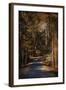 Sunlit Autumn Path-Jai Johnson-Framed Giclee Print