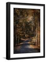 Sunlit Autumn Path-Jai Johnson-Framed Premium Giclee Print