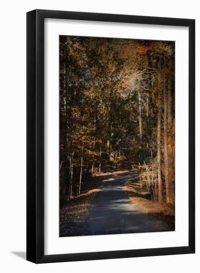 Sunlit Autumn Path-Jai Johnson-Framed Premium Giclee Print