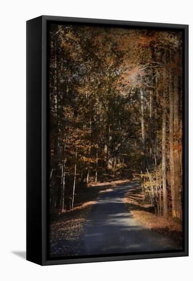 Sunlit Autumn Path-Jai Johnson-Framed Stretched Canvas