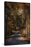 Sunlit Autumn Path-Jai Johnson-Stretched Canvas