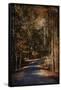 Sunlit Autumn Path-Jai Johnson-Framed Stretched Canvas