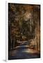 Sunlit Autumn Path-Jai Johnson-Framed Giclee Print