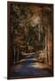 Sunlit Autumn Path-Jai Johnson-Framed Giclee Print