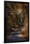 Sunlit Autumn Path-Jai Johnson-Framed Giclee Print