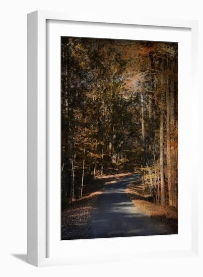 Sunlit Autumn Path-Jai Johnson-Framed Giclee Print