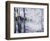 Sunlit bark II-Alexys Henry-Framed Giclee Print