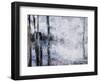 Sunlit bark II-Alexys Henry-Framed Giclee Print