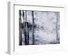Sunlit bark II-Alexys Henry-Framed Giclee Print