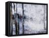 Sunlit bark II-Alexys Henry-Framed Stretched Canvas