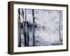 Sunlit bark II-Alexys Henry-Framed Giclee Print