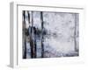 Sunlit bark II-Alexys Henry-Framed Giclee Print