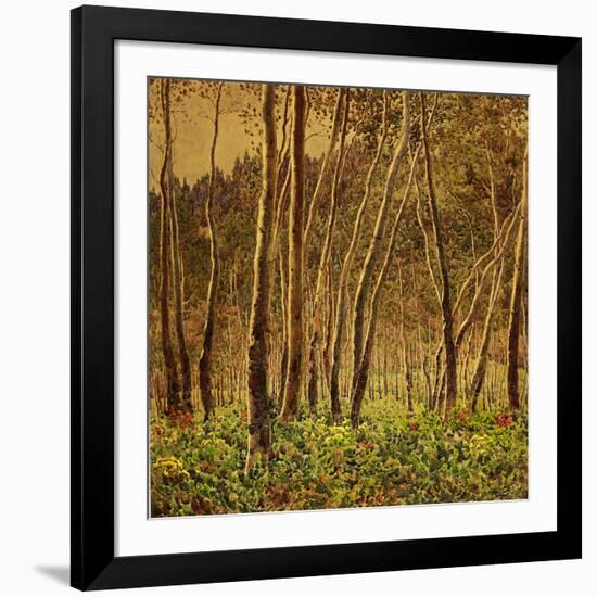 Sunlit Birches, 1924-Gunnar Widforss-Framed Giclee Print