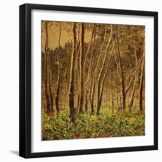 Sunlit Birches, 1924-Gunnar Widforss-Framed Premium Giclee Print