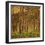 Sunlit Birches, 1924-Gunnar Widforss-Framed Premium Giclee Print