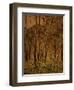 Sunlit Birches, 1924-Gunnar Widforss-Framed Giclee Print