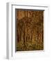 Sunlit Birches, 1924-Gunnar Widforss-Framed Giclee Print