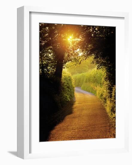 Sunlit Country Lane, Devon, England-Peter Adams-Framed Photographic Print